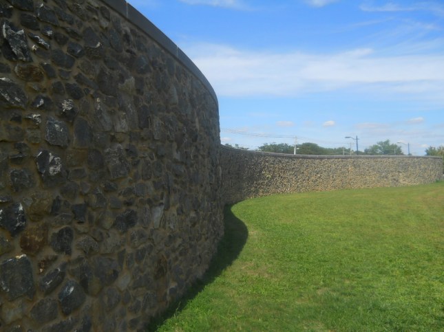 Adventures in Dogsitting 026